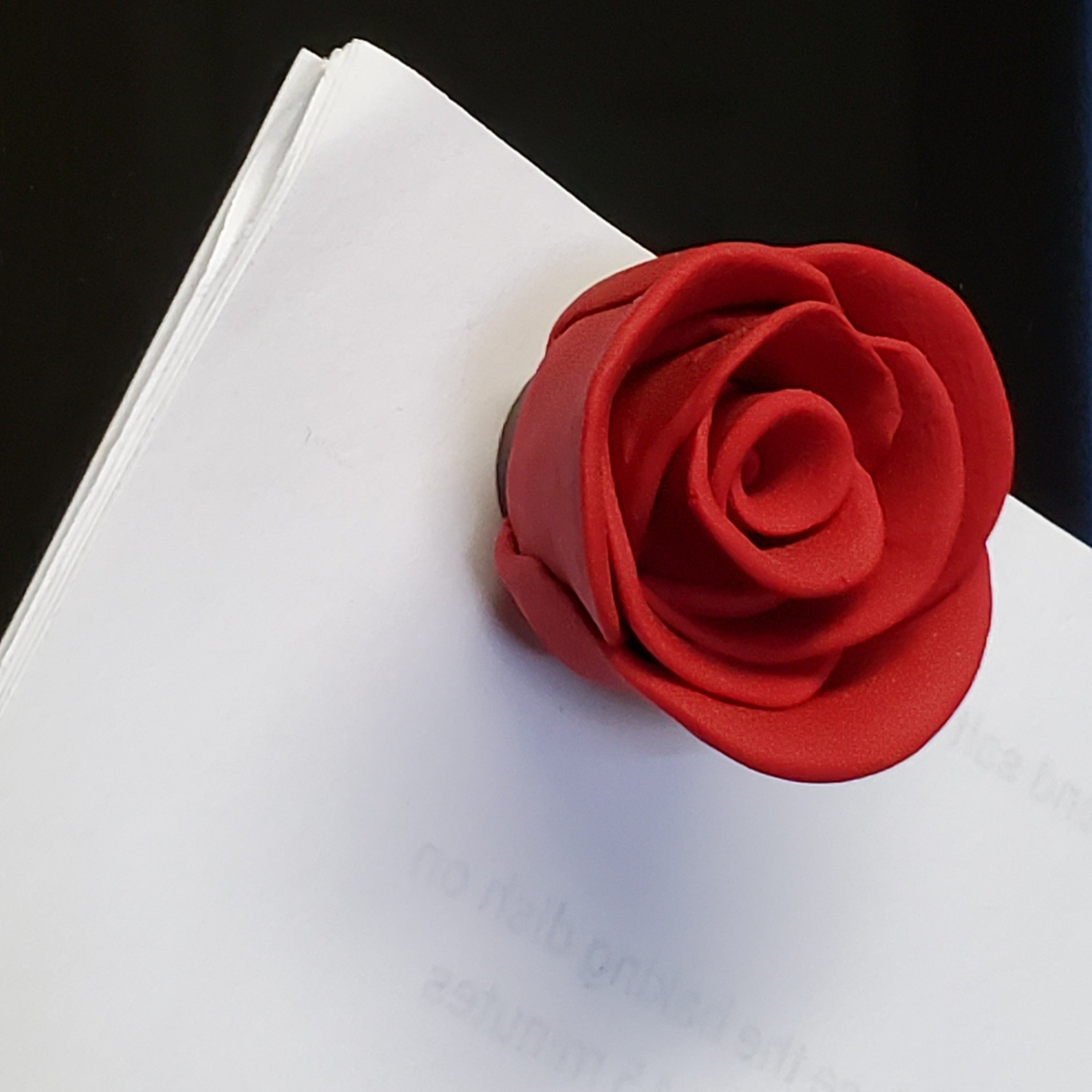 Red Rose Magnet
