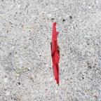 Poinsettia Lapel Pin