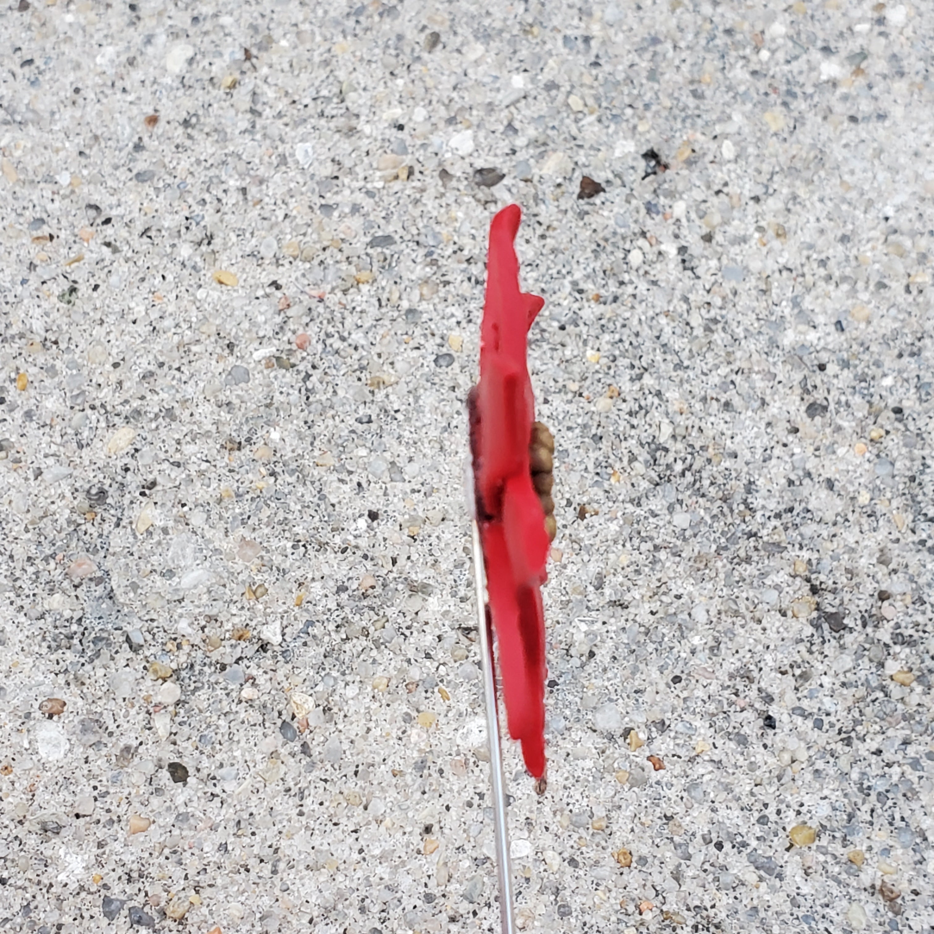 Poinsettia Lapel Pin