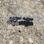 Black Sparkle Spiderweb