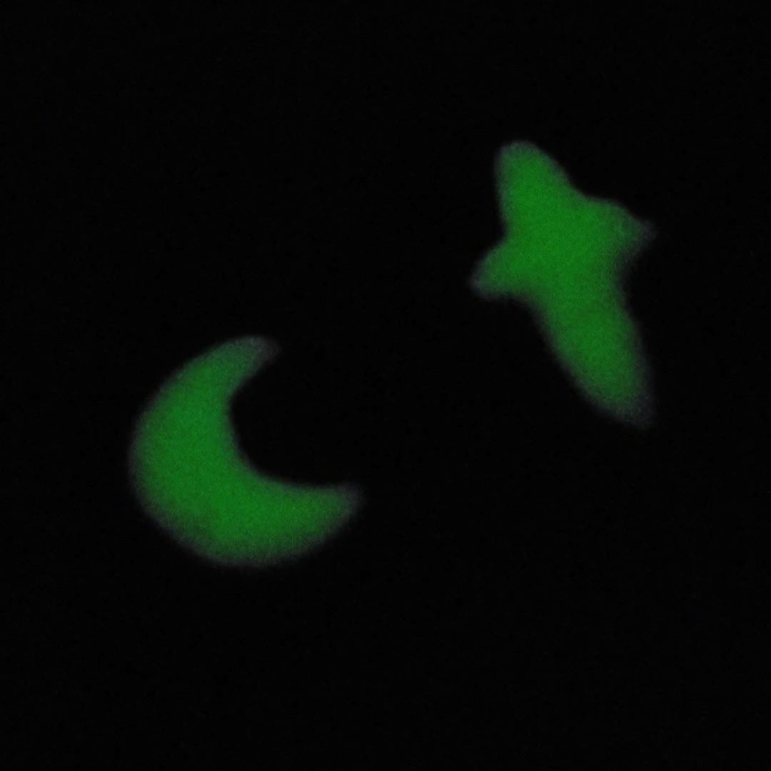 Night Sky Studs - Glow in the Dark
